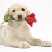 Profile Picture of Barry Ramsey (@barry.ramsey.98871) on Facebook