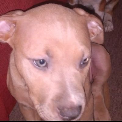 Profile Picture of Michael Smothers (@Michael94598933) on Twitter