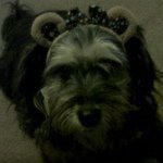 Profile Picture of Penny And Luther :) (@pennylutherx) on Instagram