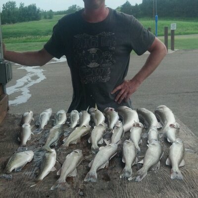 Alex Heisler - Twitter Profile Picture of Alex Heisler (@alexheisler2) on Twitter