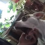 Profile Picture of Calvin Wichman (@calvin.wichman) on Facebook