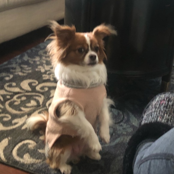 Profile Picture of Sharon Lavertue (@sharonlavertue) on Poshmark