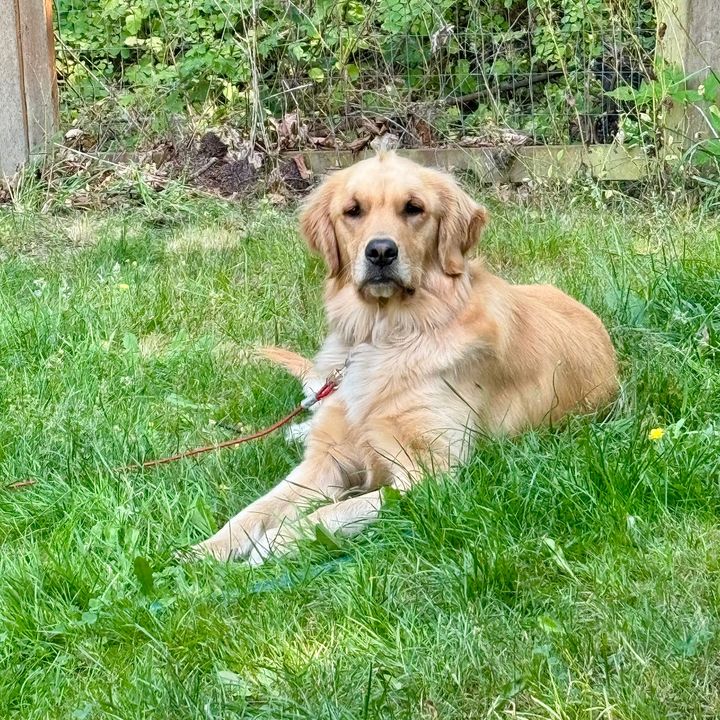 Profile Picture of cassandra_chase (@cassandra_chase) on Tiktok