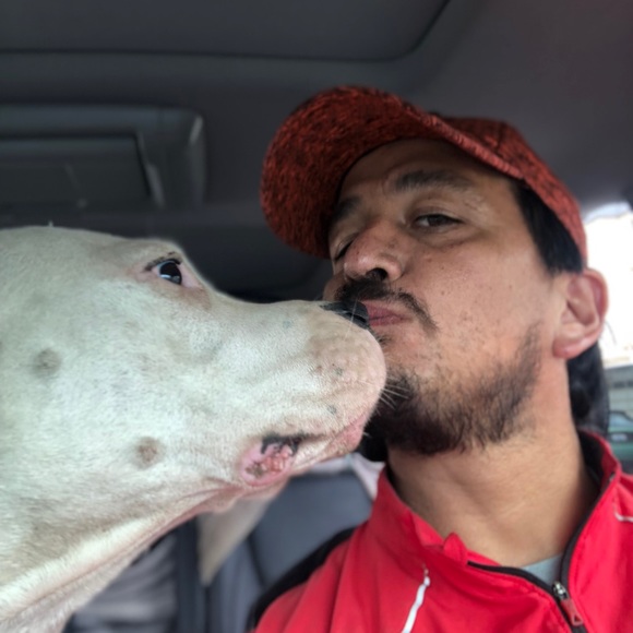 Profile Picture of Ariel Bolanos (@arieln95) on Poshmark