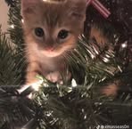 Profile Picture of Terrance Wilcox (@terrance.wilcox.37) on Facebook