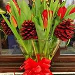 Jackie Bowler - Instagram Profile Picture of Jackie Bowler (@jackieb1524) on Instagram