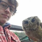 Profile Picture of Joel Edwards (@joel_edwards98) on Instagram