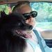 Profile Picture of Daryl DeCamp (@dalan5095) on Pinterest