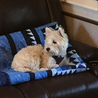 Profile Picture of Janet Frederickson (@janet.frederickson) on Facebook