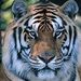 Profile Picture of Norman Singleton (@norm421) on Pinterest