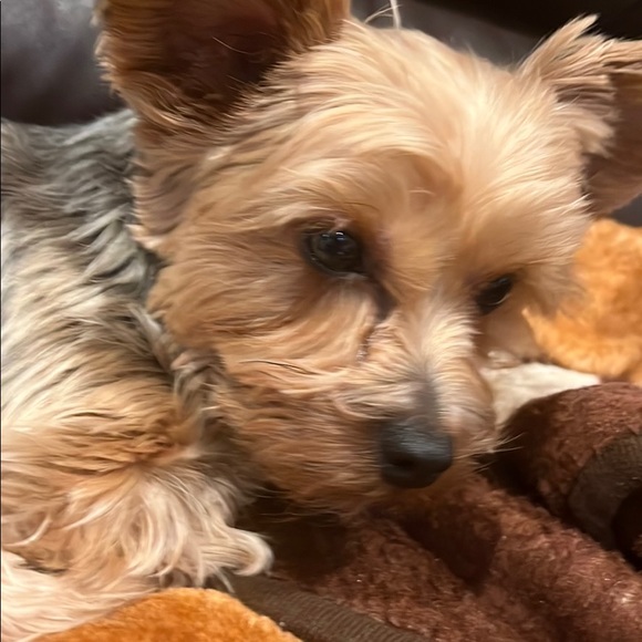 Profile Picture of Jacob Furno (@jacobfurno) on Poshmark