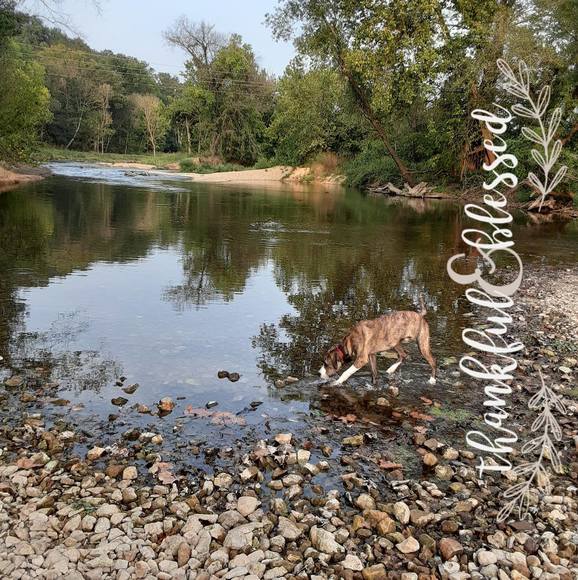 Profile Picture of Chrystal Stacy-muller (@cmuller7034) on Poshmark