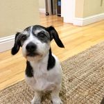 Profile Picture of Julian Scurci (@julianscurci) on Instagram