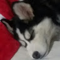 Profile Picture of Chandler Duncan (@chandler-duncan-11) on Quora