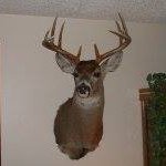 Profile Picture of Jeff Coburn (@coburnjeffkim) on Instagram