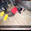 Profile Picture of Kylie stocker (@kylie.stocker) on Tiktok