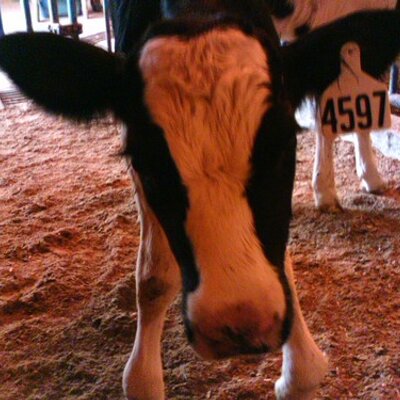 Profile Picture of Michael Grott (@mgrott) on Twitter