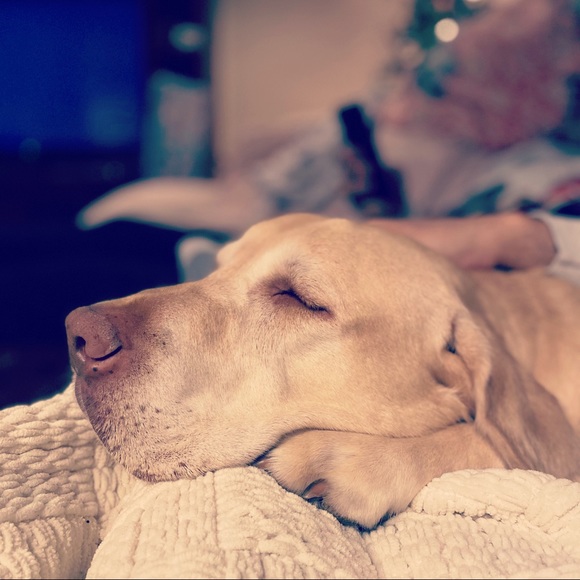 Profile Picture of Bridget Hotrum (@bridgethotrum) on Poshmark