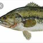 Profile Picture of jack hoyt (@jack_hoyt2003) on Instagram