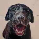 Profile Picture of Dave Nielsen (@davenielsen0811) on Instagram