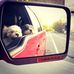 Profile Picture of Toby Stewart (@Toby-Stewart) on Facebook