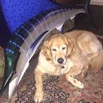 Profile Picture of Peter Decleva (@peterdecleva) on Instagram