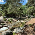 Estelle_Porter_Grant - Instagram Profile Picture of Estelle_Porter_Grant (@estelleportergrant) on Instagram