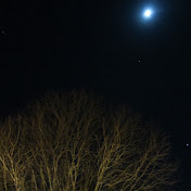 Profile Picture of Devin Nance (@devinnance1358) on Youtube