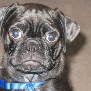 Adam Bernardino - Myspace Profile Picture of Adam Bernardino (@218215097) on Myspace