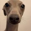 Profile Picture of Javier Olvera (@@javier_olvera6) on Tiktok