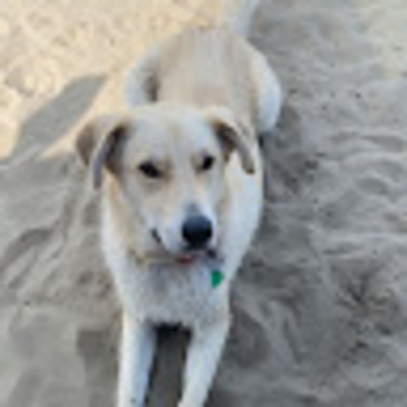 Profile Picture of Brayden Gunsch (@gunschbrayden) on Poshmark