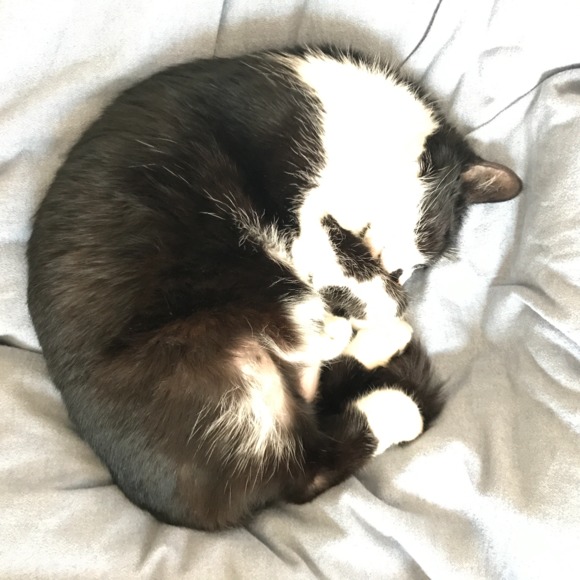 Profile Picture of M Sc (@207maineiac) on Poshmark