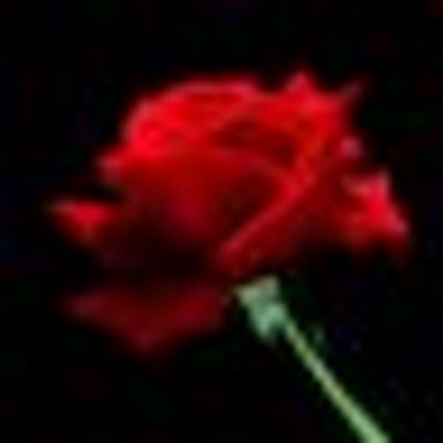 Profile Picture of Shah Din (@shahdin8) on Twitter