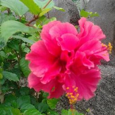 Profile Picture of Neel Sharma (@Neelsharma5830) on Twitter