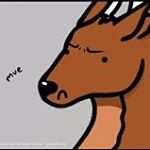 Profile Picture of Scott Ouimette (@scottouimette) on Instagram