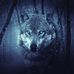 Profile Picture of Shannon Wolfe (@shannon.wolfe.7543) on Facebook