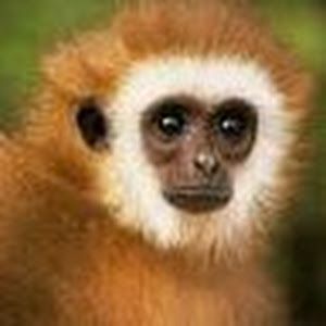 Profile Picture of Lisette Pineda275 (@lisettepineda2755) on Tiktok