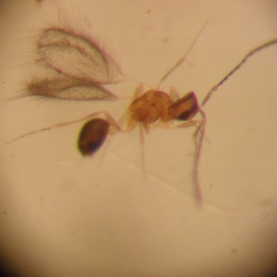 Profile Picture of Paula A Greer (@P4Gup) on Twitter