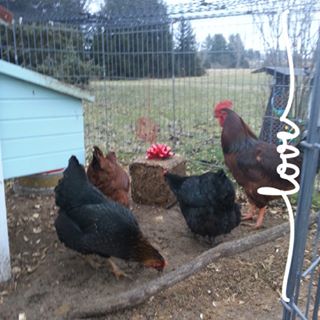 Profile Picture of Teresa Wilder (@teresamcguire.wilder1) on Facebook