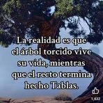 Alvaro Lucero - Facebook Profile Picture of Alvaro Lucero (@alvaro.lucero.56232) on Facebook