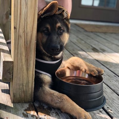 Profile Picture of Aaron Caballero (@Aaron_Cab04) on Twitter