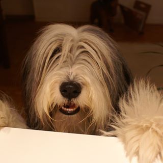 Profile Picture of Sigge Magnusson (@sigge.magnusson) on Facebook