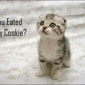 Profile Picture of Cecile Jefferson (@315382386) on Myspace