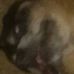 Profile Picture of Brad Hauck (@brad.hauck.75) on Facebook