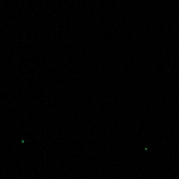 Profile Picture of Jodi Fletcher (@jodifletcher) on Poshmark