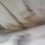 Profile Picture of Omar Latif (@omarlatif7652) on Youtube