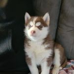 Profile Picture of Gary Harrington (@gary.harrington.3192) on Instagram