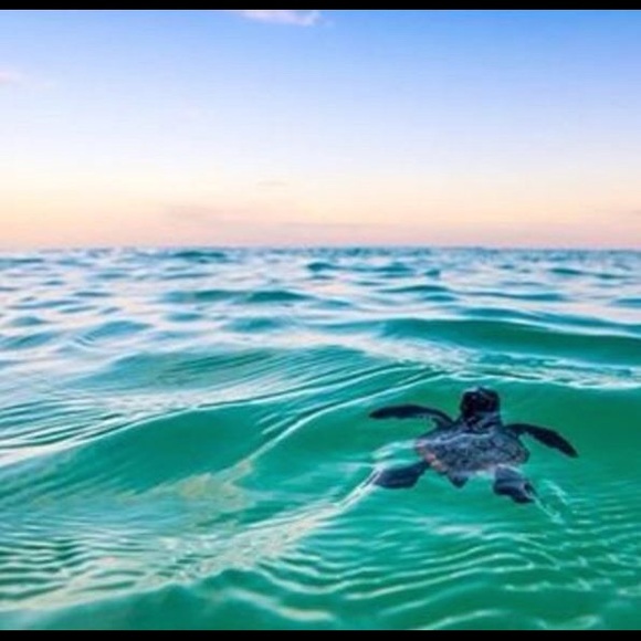 Profile Picture of Maxine Putz (@spagetti77) on Poshmark