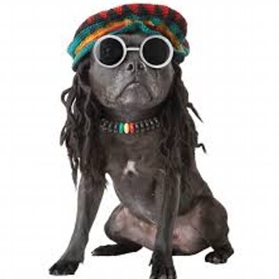 Profile Picture of Leonardo (@LeoHopper7) on Twitter