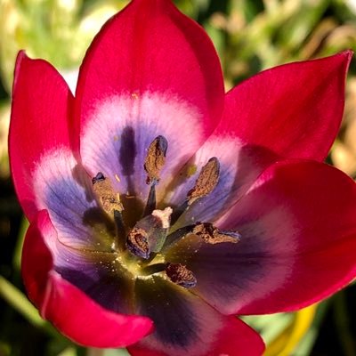 Profile Picture of Johnbent (@johnbent5) on Twitter